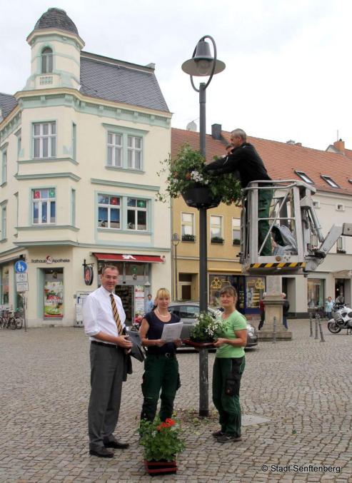 Mehr Blumen auf dem Senftenberger Marktplatz